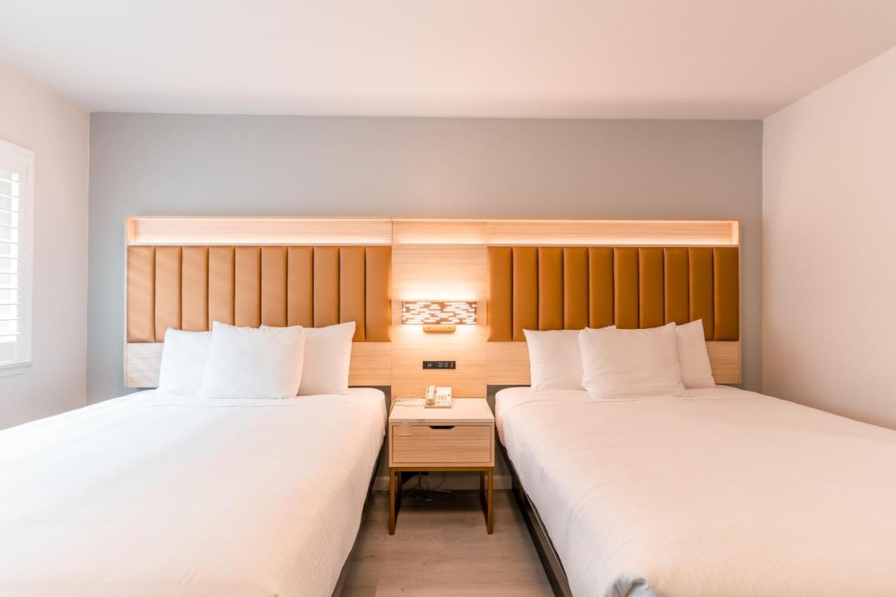 Suite King Deluxe